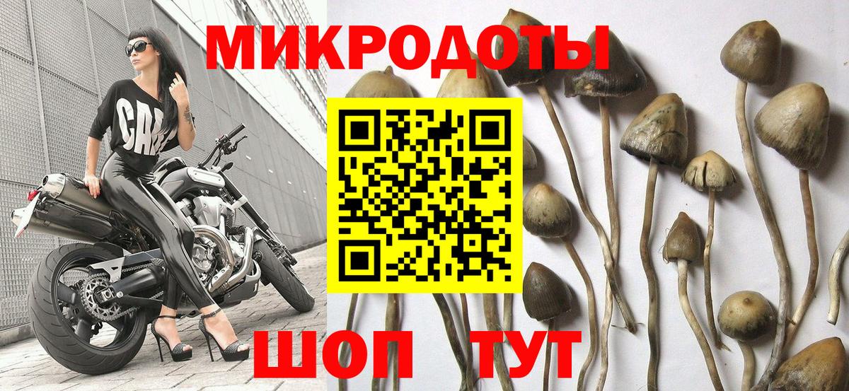 Псилоцибиновые грибы Psilocybe  Галлюциногенные грибы Psilocybine cubensis  Балахна  Вход с VPN 